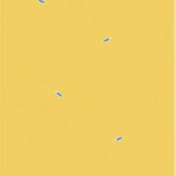 Begroting 🧨 Moleskine 12 Maanden Agenda - 2023 - LE Planner - Kleine Prins - Wekelijks - Pocket - Vos 🎉 -Crafts&Co winkel 494x840 1