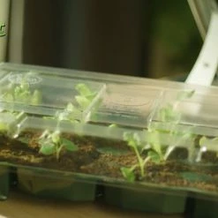 Groothandel ❤️ Baza Seeds B.V. Adventskalende 2022 Complete Zaden Kweekset - Kerstman ❤️ -Crafts&Co winkel 550x305