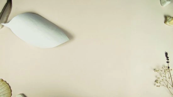 Gloednieuw ✔️ Flow Boeken Flow Paperbook For Nature Lovers - Flow Special 1-2021 ⌛ 2 Gloednieuw ✔️ Flow Boeken Flow Paperbook For Nature Lovers - Flow Special 1-2021 ⌛ - Afbeelding 2