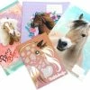 Promo 🔥 Penny | 3 X Paarden Schriften A5 Met Lijntjes ❤️