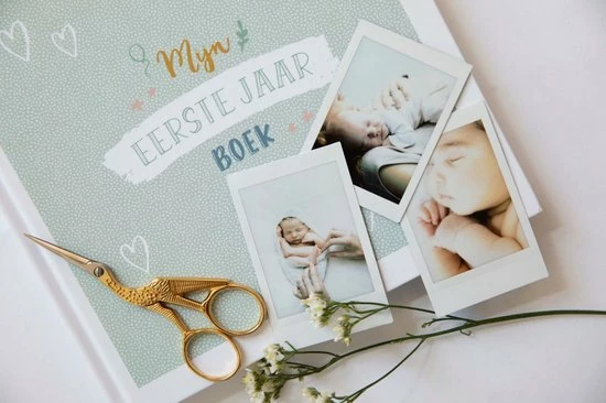 Goedkoop 👏 Maan Amsterdam Eerste Jaar Boek Baby 0 Tot 1 Jaar - Mint- Unisex 🎉 17 Goedkoop 👏 Maan Amsterdam Eerste Jaar Boek Baby 0 Tot 1 Jaar - Mint- Unisex 🎉 - Afbeelding 17