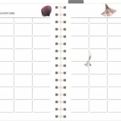 Beste Pirce π De Hobbit Hobbit - Gezinsagenda - Klaprozen - 2023 - Voor 6 Personen - Ringband - Week Per Pagina - 22x18cm β¨ 7 Beste Pirce π De Hobbit Hobbit - Gezinsagenda - Klaprozen - 2023 - Voor 6 Personen - Ringband - Week Per Pagina - 22x18cm β¨ -Crafts&Co winkel 550x367 12