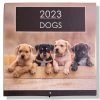 Goedkoop 🤩 IGdesign Honden Kalender - 2023 - Maandkalender - 28x28cm 😀