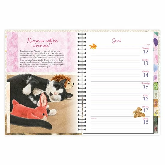 Uitgang π€© Comello Bureau Agenda - 2023 - Franciens Katten - Jubileumuitgave - 16x23cm π 4 Uitgang π€© Comello Bureau Agenda - 2023 - Franciens Katten - Jubileumuitgave - 16x23cm π - Afbeelding 4