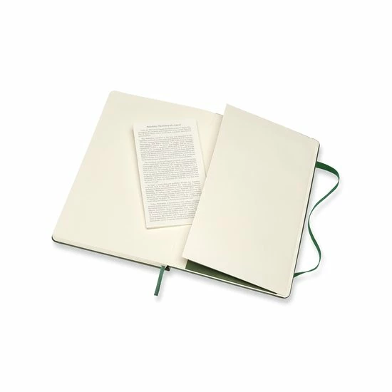 Beste Pirce 👏 Moleskine Classic Notitieboek - Large - Hardcover - Gelinieerd - Mirte Groen 👍 5 Beste Pirce 👏 Moleskine Classic Notitieboek - Large - Hardcover - Gelinieerd - Mirte Groen 👍 - Afbeelding 5