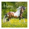 Coupon 😀 Korsch Verlag Paarden Kalender 2023 - 30x30cm ✔️