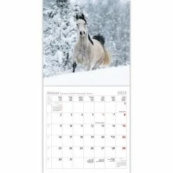 Coupon 😀 Korsch Verlag Paarden Kalender 2023 - 30x30cm ✔️ -Crafts&Co winkel 550x550 767