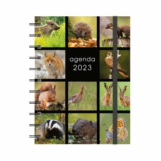 Begroting ❤️ De Hobbit A6 Spiraal Agenda Natuur 2023 🥰 1 Begroting ❤️ De Hobbit A6 Spiraal Agenda Natuur 2023 🥰