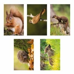 Begroting ❤️ De Hobbit A6 Spiraal Agenda Natuur 2023 🥰 7 Begroting ❤️ De Hobbit A6 Spiraal Agenda Natuur 2023 🥰 -Crafts&Co winkel 550x550 813