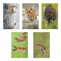 Begroting ❤️ De Hobbit A6 Spiraal Agenda Natuur 2023 🥰 8 Begroting ❤️ De Hobbit A6 Spiraal Agenda Natuur 2023 🥰 -Crafts&Co winkel 550x550 814