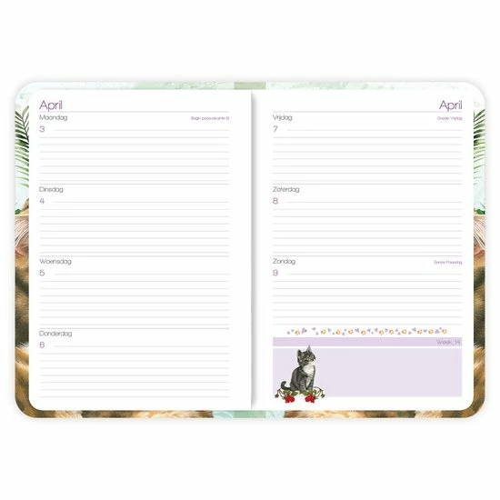 Beste Pirce ✔️ Comello Week Agenda - 2023 - Franciens Katten - Boskat Kittens - 12.7x17.8cm ❤️ 3 Beste Pirce ✔️ Comello Week Agenda - 2023 - Franciens Katten - Boskat Kittens - 12.7x17.8cm ❤️ - Afbeelding 3