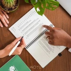 Groothandel 😀 MOYU Ringband A5 - Hardcover - Misty Mountain - Uitwisbaar Notitieboek - Duurzaam Steenpapier 🛒 -Crafts&Co winkel 550x550 862