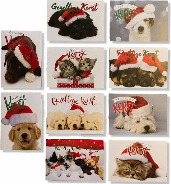 Kopen π Cards & Crafts 50 Kerst- En Nieuwjaarskaarten Met Pen - 9,5x14cm - 10 X 5 Dubbele Kaarten Met Enveloppen - Serie Dieren π 1 Kopen π Cards & Crafts 50 Kerst- En Nieuwjaarskaarten Met Pen - 9,5x14cm - 10 X 5 Dubbele Kaarten Met Enveloppen - Serie Dieren π