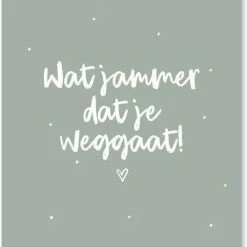 Begroting 🛒 Kaartjes Van Maaike Wenskaarten Set (10 Kaarten) - Afscheid Collega - 10 Verschillende Kaarten - A6 - Wenskaart Bedankt 🥰 -Crafts&Co winkel 550x757
