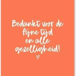 Begroting 🛒 Kaartjes Van Maaike Wenskaarten Set (10 Kaarten) - Afscheid Collega - 10 Verschillende Kaarten - A6 - Wenskaart Bedankt 🥰 -Crafts&Co winkel 550x760 5