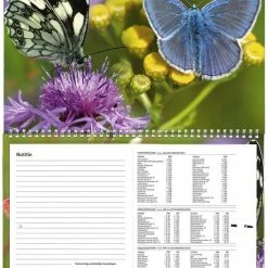 Kopen 🎉 MGPcards - Omleg Maandkalender 2023 🎉 -Crafts&Co winkel 550x781 4