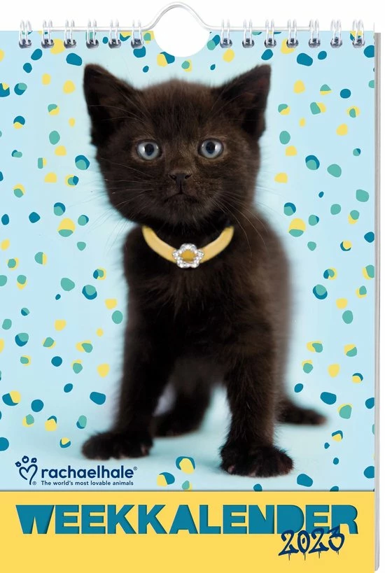 Kopen π Interstat Rachael Hale - Weekkalender - Kittens - Kat - 2023 π€© 1 Kopen π Interstat Rachael Hale - Weekkalender - Kittens - Kat - 2023 π€©